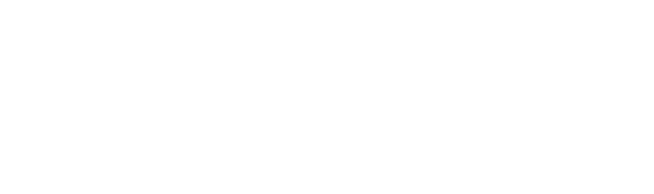 邦楽 IT'S A ROMANCE / BISCA IT'S A ROMANCE / BISCA